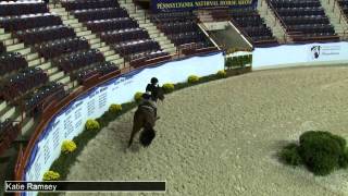 451 DONATO Katie Ramsey, Class 38 Large Junior Hunter 16 17 Handy