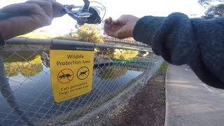 2018 Urban Sydney Winter Bream Fishing Tips.