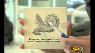 Имена Горного: Александр Карпинский