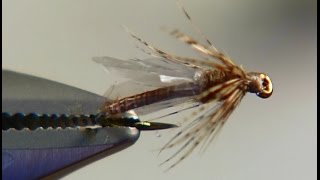 Drowned Midge Adult fly tying video instruction by Shane Stalcup