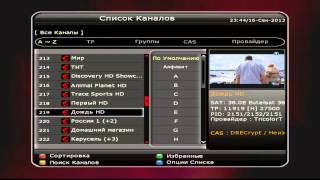 Одновременная работа CI+ НТВ ПЛЮС, CI ТРИКОЛОР ТВ, карты ЛЕБЕДЬ ТВ, карты РАДУГА ТВ в SKYWAY
