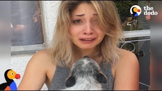 Guy Surprises Girlfriend With Puppy After Her Dog Passes Away | The Dodo