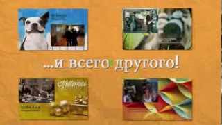 iWowWe. Пользуйтесь видео сообщениями компании iWowWe.