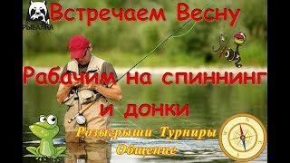 Русская Рыбалка 4. Встречаем Весну . Рыбачим на Спиннинг и Донки. Розыгрыши Турниры Общение