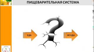 Как похудеть (видеоурок о том, как работает пищеварительная система человека)