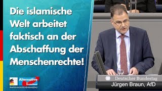 Die islamische Welt arbeitet faktisch an der Abschaffung der Menschenrechte! - Jürgen Braun - AfD