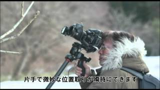 VANGUARD GH-300T かとうまさゆきさん