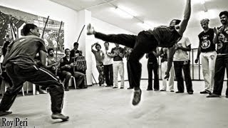 m.cueca & inst.simba