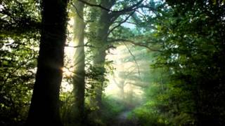 AUM, Soham, Sacred Chants, Crystal Voice