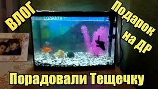 Влог: ДР ТЕЩИ, ПОДАРИЛИ АКВАРИУМ, РЫБКА КРОКОДИЛ