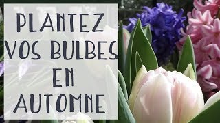 Octobre : c’est le bon moment pour planter vos bulbes !