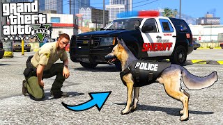ПОИСКИ НАРКОМАНОВ С СОБАКОЙ! ПАТРУЛЬ К-9 в GTA 5 ИГРА ЗА ПОЛИЦЕЙСКОГО (МОДЫ ГТА 5 LSPDFR)
