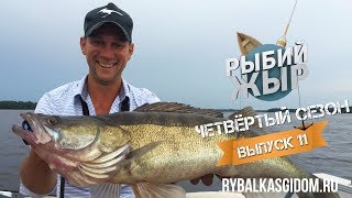 Рыбалка 2017. Трофейный судак Иваньковского водохранилища. Рыбий жЫр 4 сезон выпуск 11