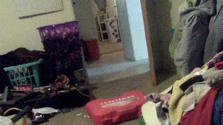 Up All Night With Lacie & Pirate