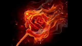 Strunz @ Farah Live: Dark Fire