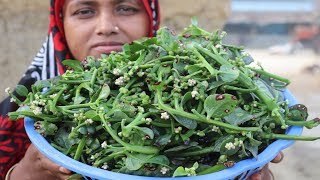 Village Food Farm Fresh Malabar Spinach Seeds Recipe Healthy Fresh Malabar Spinach Seeds Fry Cooking