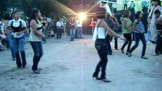 ASI ES UNA VIVORA DEL AMAR EN SLP