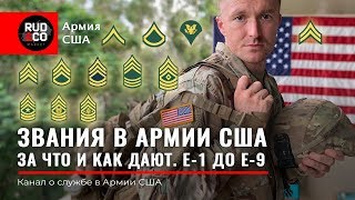 ЗВАНИЯ АРМИИ США. От рядового до сержанта. US Army. Rud&Co