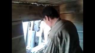 Вольдемар псевдоевро
