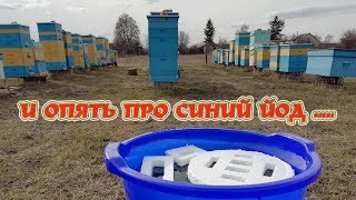 И опять про синий йод | Профилактика болезней пчёл.