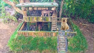Примитивные технологии Строим бамбуковый домик для собак