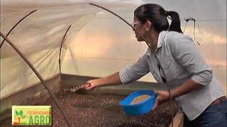 Tecnificando el Agro "22 Años"    Vivero de  Yerba Mate VYO