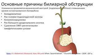 Эхосемиотика структурных изменений желчного пузыря и желчных путей. Часть 2