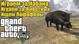 GTA 5 - Играем за ДИКОГО КАБАНА [Играем за Животных и Ищем Лофофоры]
