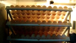 Incubadora Avicola Pequeña / Small poultry incubator