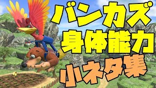 バンジョーとカズーイの身体能力小ネタ10連発ｗｗｗ【スマブラSP】【バンカズ】【SPECIAL】