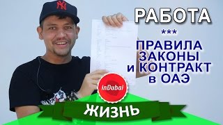 Работа в Дубае. Контракт, законы и труд в Эмиратах. Памятка - устройство на работу в ОАЭ.