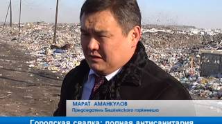 Городская свалка: полная антисанитария