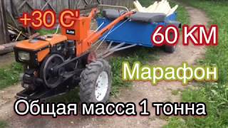 поездка на дизельном мотоблоке кентавр зубр
