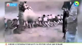 Новости казни Игил, 200 сирийских детей было растреленно