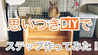 #173 ウサギのケージのステップを思いつきDIY！