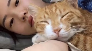 태풍으로 정전이 됐습니다... 기름떡 만들기