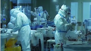 Израильский доктор: Сможет ли победить Коронавирус новая вакцина?