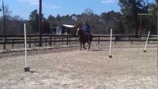 Walking Wind Farm Jesse Jane