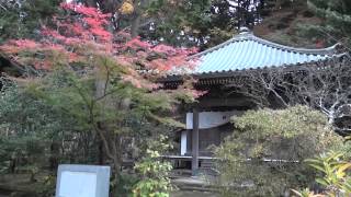 Япония.Храмы Камакуры. Храм Анкокурон-дзи / Ankokuron-ji Temple.Kamakura.Japan