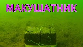 Пробовал под водой классический МАКУШАТНИК: хотелось показать, что это не жаберный способ ловли рыбы