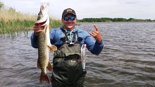 Обкатал Shimano Twin Power 4000 PG трофейной щукой! Впечатления о одной из лучших катушек...