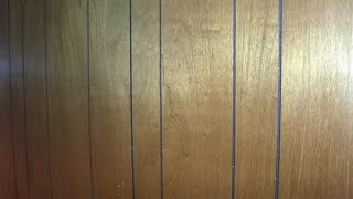 Shell Busey's OmBuseyMan Blog - Painting Wall Paneling