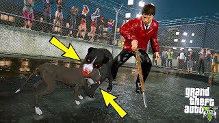 YAVRU PİTBULL TERMİNATÖR VAHŞİ ROTTWEILER İLE KAFES DÖVÜŞÜ YAPIYOR! - GTA 5