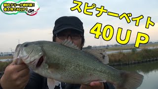 バス釣り　トップで巻き物で出た！inクリーク＃２　Bass fishing in Japan
