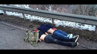 ДТП в Отрадном, три человека погибли на месте