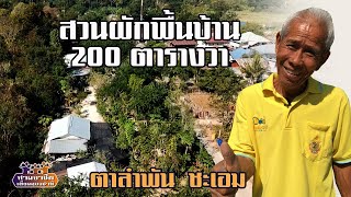 จนท.รพ.บ้านแพรก เยี่ยมชม "สวนผักพื้นบ้าน 200 ตารางวา" ตาลำพัน  ชะเอม//สามอาชีพฯ