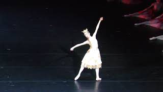 29/07/18 Konyok-Gorbunok: variation of the Tsar Maiden (Alina Somova) in the firebirds' land