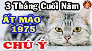 Tử Vi Ất Mão 1975 Chú Ý 3 Tháng Cuối Năm THẦN TÀI Nghênh Đón TÌNH TIỀN Như Ý