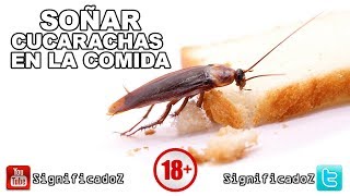 Significado de SOÑAR CON CUCARACHAS EN LA COMIDA ? ¿Que Significa?