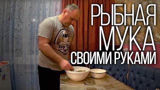 Рыбная мука для бойлов и прикормки в домашних условиях